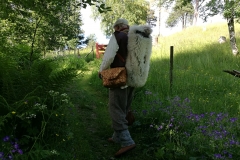On the way to the festival